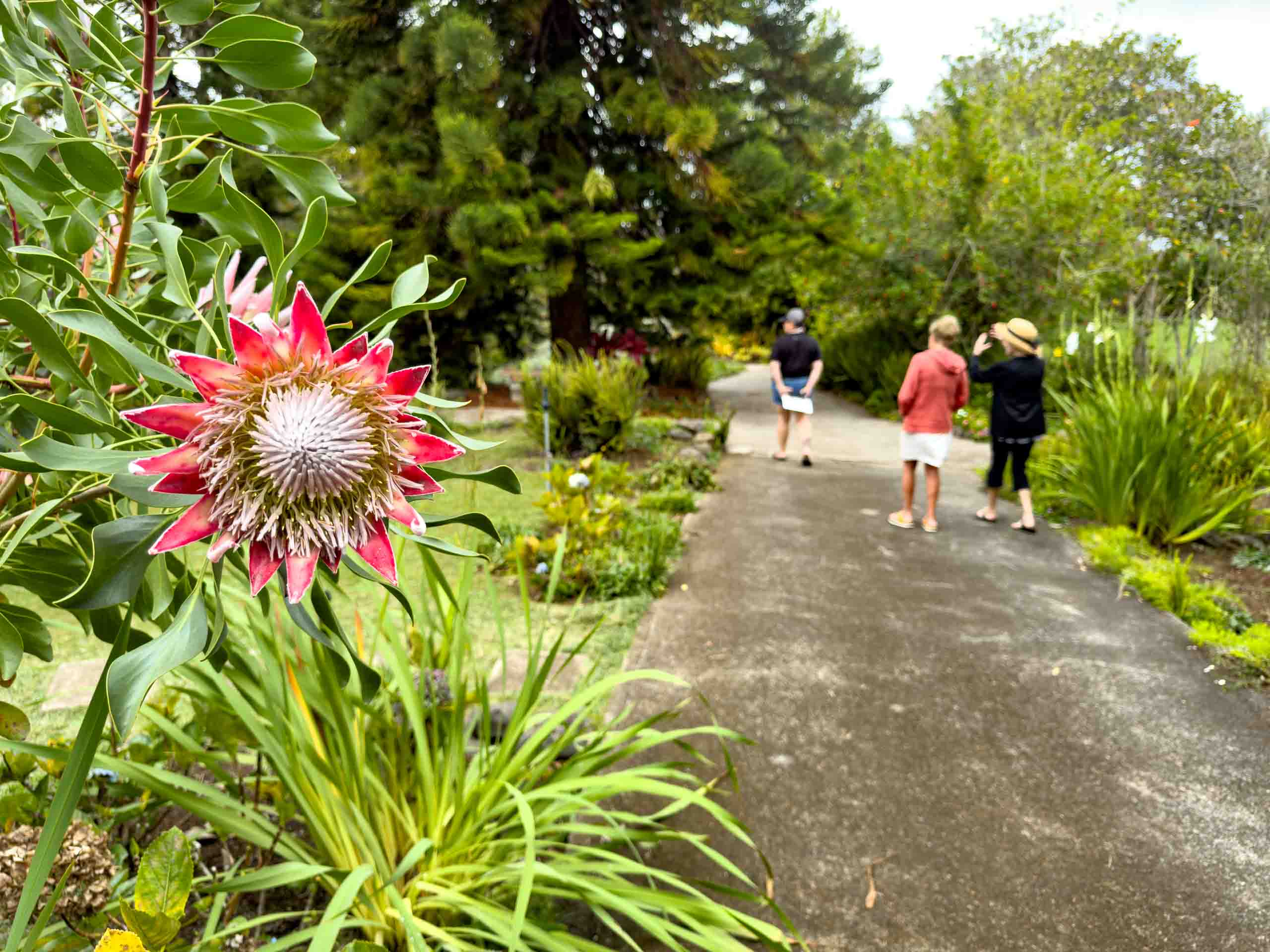 Kula Botanical Garden