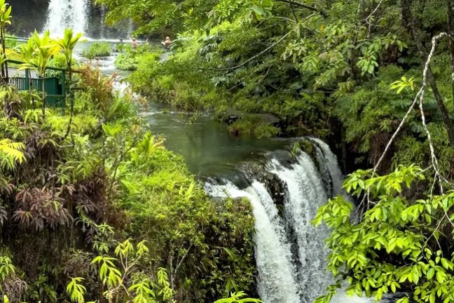 Two waterfalls surrounded by lush green foliage in a forest.