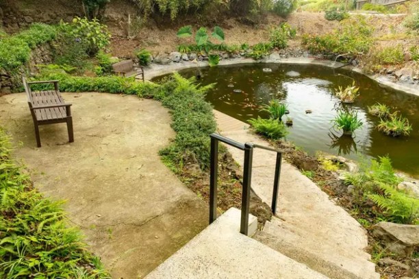 Garden pond with benches and surrounding greenery.