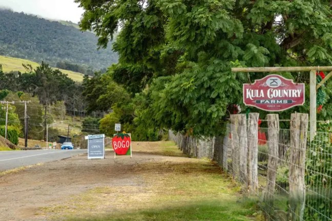 Entrance to Kula Country Farms with signs by a roadside.