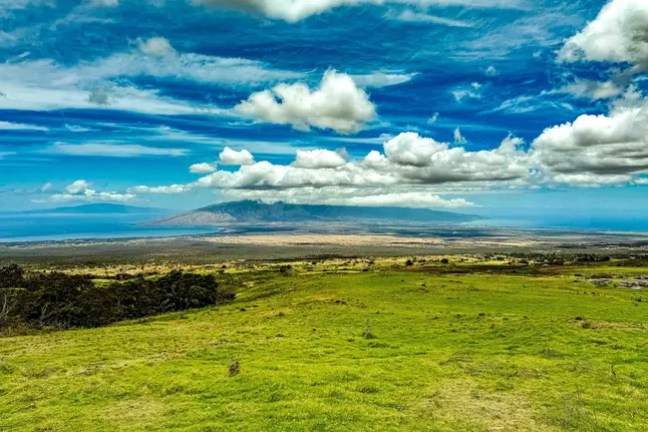 Lush green field under a vibrant blue sky with scattered clouds, mountain visible in the distance.