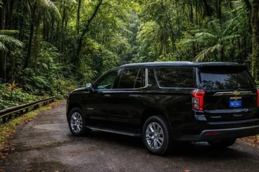 Black SUV driving on a forest road surrounded by lush greenery.