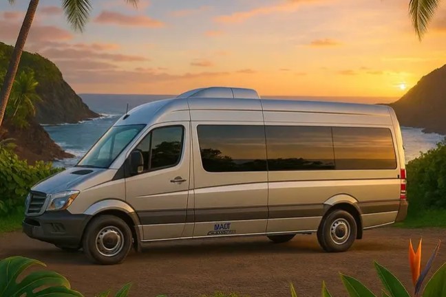 Silver van parked by the ocean with palm trees and sunset.