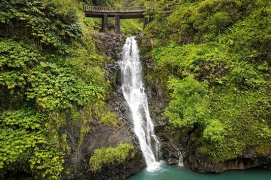 Waterfall flowing under a bridge amidst lush greenery.