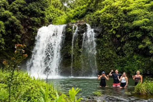 Four people enjoying a waterfall in lush green scenery.