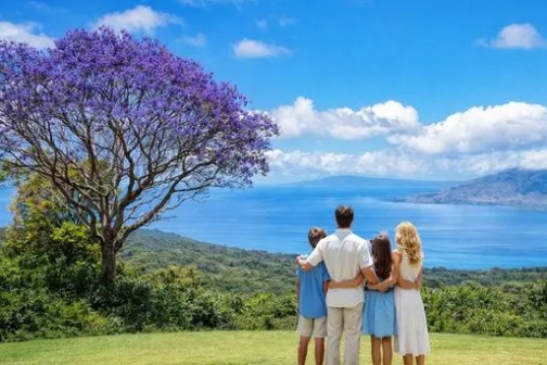 Family of four facing a scenic view with a purple tree and ocean.
