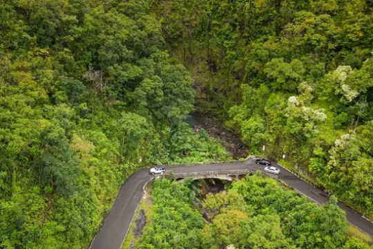 Aerial view of a curved road through dense green forest with two cars on a bridge.