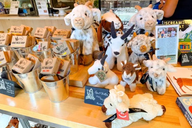 Plush goats and milk soap displayed on a store counter.